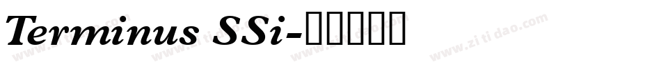 Terminus SSi字体转换